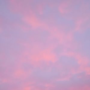 Meet your Posher, Ari